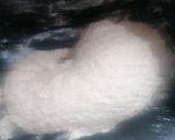 Foto del paso 3 de la receta: Pulguitas semi integrales con masa madre