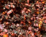 A picture of step 2 of Amaranth Burger.