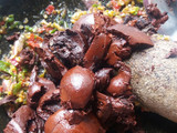 Sambal kluwek
