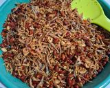 Foto langkah ke 4 dari resep Kering Tempe.