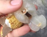 Hình bước làm 3 của món Vải lai Thanh Hà