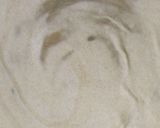 A picture of step 4 of Flaky Paratha.