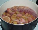 Rebarbara kompót almával recept fázis 5 fotója
