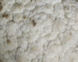 A picture of step 1 of Grilled Cauliflower.