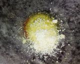 Foto langkah ke 4 dari resep Tempe Goreng Saus Keju.