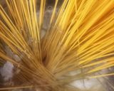 Spagetti Sajt és Bors 🇮🇹 Spaghetti Cacio e Pepe recept fázis 3 fotója