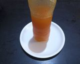 A picture of step 5 of Mango squash.