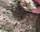 Foto del paso 2 de la receta: Thins de carne y Huevo