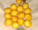 Foto langkah ke 6 dari resep Pom Pom Potato ala Richeese.