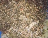Foto del paso 1 de la receta: Miss falafel