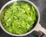 કેપ્ટન ઓફ લિફી ગ્રીન્સ જ્યુુુસ (Captain Of Leafy Greens Juice Recipe In Gujarati) રેસીપી સ્ટેપ1ફોટો