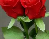 صورة لخطوة 6 من وصفة كبسة دجاج