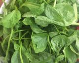 Hình bước làm 2 của món Lẩu hải sản