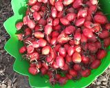 Foto del paso 1 de la receta: Dulce de rosa de mosquetas!