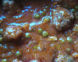 Foto del paso 7 de la receta: Albóndigas sin freír en salsa de la abuela