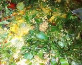 A picture of step 4 of Oha obonor souper.