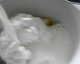 Foto del paso 3 de la receta: Batido de melón