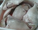 عکس مرحله 1 از دستور ماهی سرخ کرده