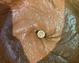 Foto del paso 2 de la receta: Pastel de chocolate vienés sin harina y sin azúcar (añadida)