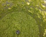 A picture of step 4 of Methi ki Chatpti chutney.