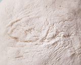 A picture of step 2 of Sourdough bread.