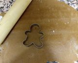 Foto del paso 3 de la receta: Galletitas de jengibre con pepitas de cacao