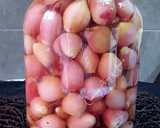 Foto del paso 1 de la receta: Cebollitas en vinagre con aliño de curry panang y harisa egipcia