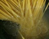Foto langkah ke 1 dari resep Spaghetti Aglio Olio ala aqu 🍝🍜.