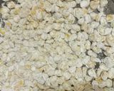 A picture of step 1 of Crispy Corns.