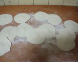 A picture of step 4 of Cabbage Potstickers.