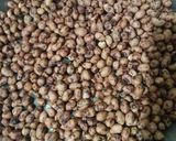 तिळ, गुळ आणि शेंगदाण्याची वडी (til gul shengdana vadi recipe in marathi) रेसिपी स्टेप 2 फोटो