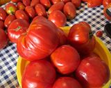 Foto del passaggio 1 della ricetta Passata di pomodoro