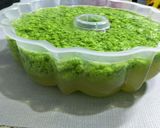 Foto langkah ke 4 dari resep Pudding Lumut.
