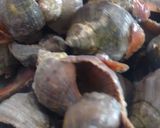 Foto del paso 1 de la receta: Sopa de escargot de mar