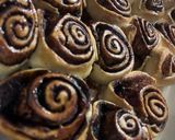 Kakaós csiga recept fázis 6 fotója