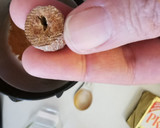 Foto del paso 1 de la receta: Mezcla quatre épices sucrée (4 especias dulce)