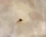 صورة لخطوة 1 من وصفة حلى اللاتيه ☕️🤎