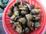 Ốc hương rang muối ớt