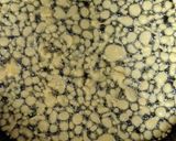 A picture of step 3 of Boondi Ladoo.