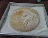 Foto langkah ke 17 dari resep Sourdough Country Bread/Rustic Bread.
