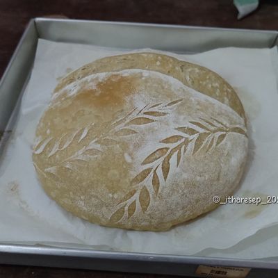 Langkah 17