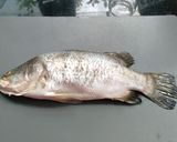 Foto langkah ke 1 dari resep Ikan Kakap bakar.