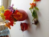 چای گل لادن