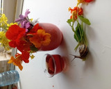 عکس مرحله 1 از دستور چای گل لادن