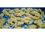 Foto langkah ke 2 dari resep Kue Garpu.
