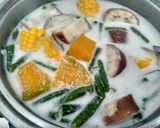 Foto langkah ke 3 dari resep Lodeh terong campur.