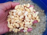 (Duju) Leche de soya coreana