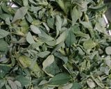 झिपरी / लसूणी मेथी (Lasooni Methi Recipe In Marathi) रेसिपी स्टेप 1 फोटो 