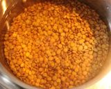 Foto del paso 1 de la receta: Guiso de lentejas In The Wake Of Poseidon