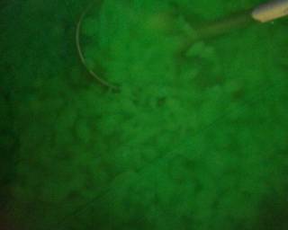 Cendol Agar Swallow - Step 4